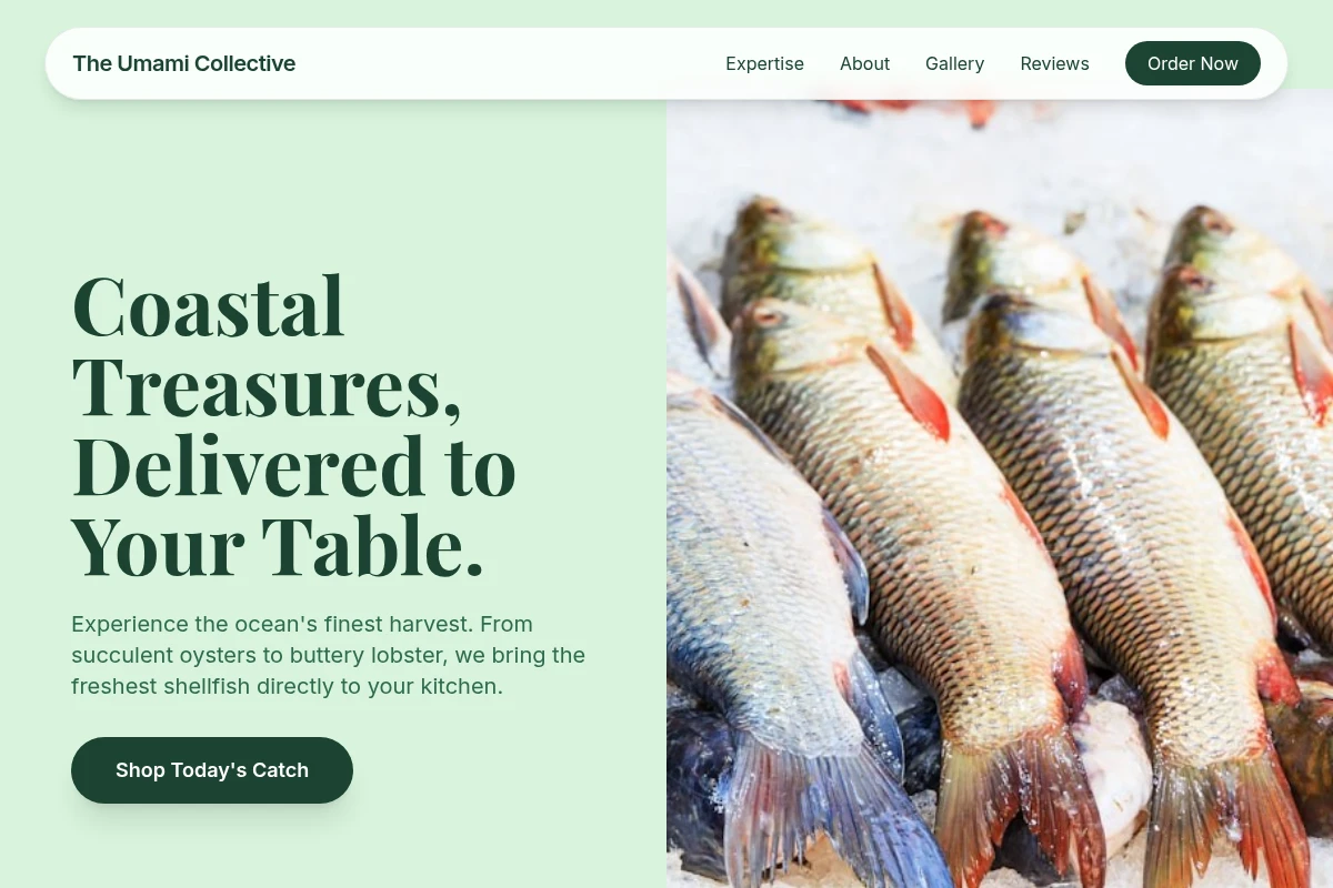 Shell Fish Market