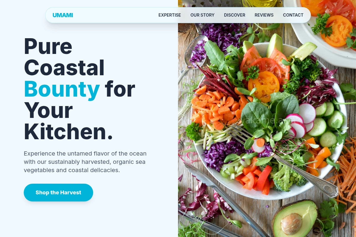 Umami Organic Food