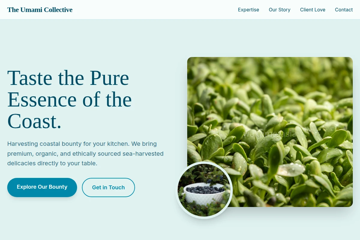 Nautical Organic Food