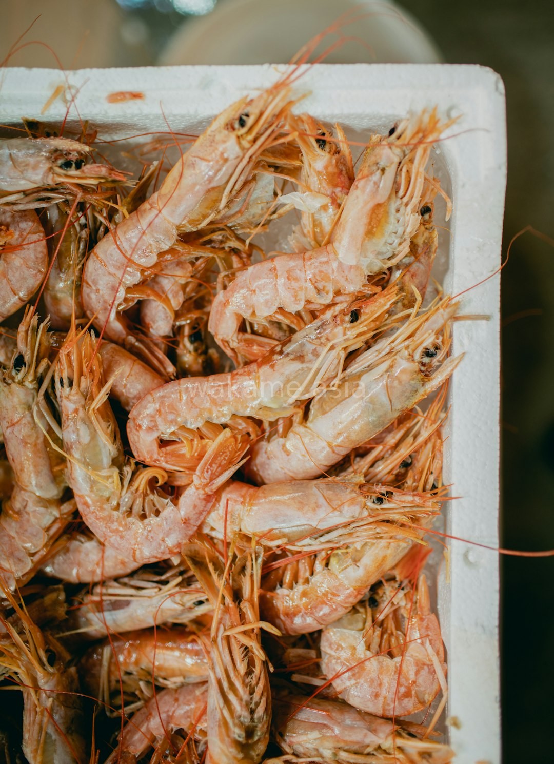Fresh Seafood