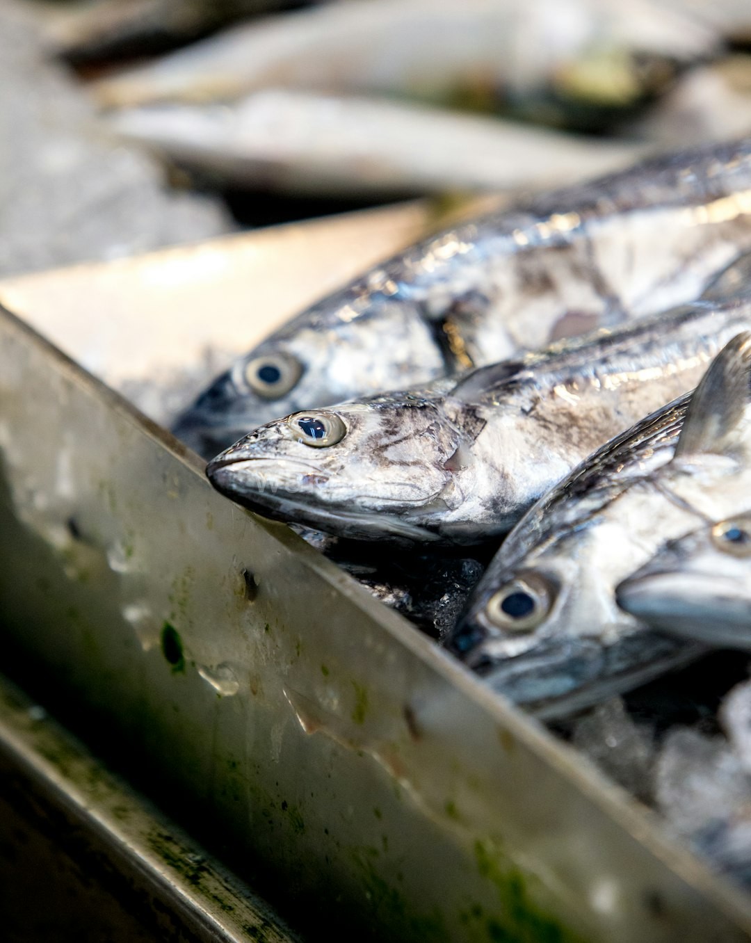 Sustainable Sourcing
