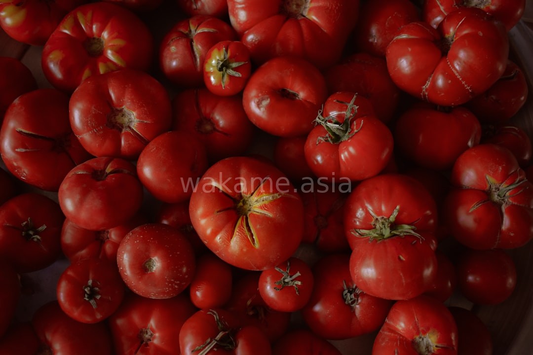 Close up organic texture