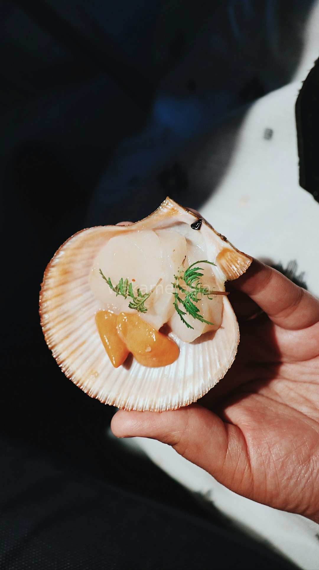 Seafood Hero