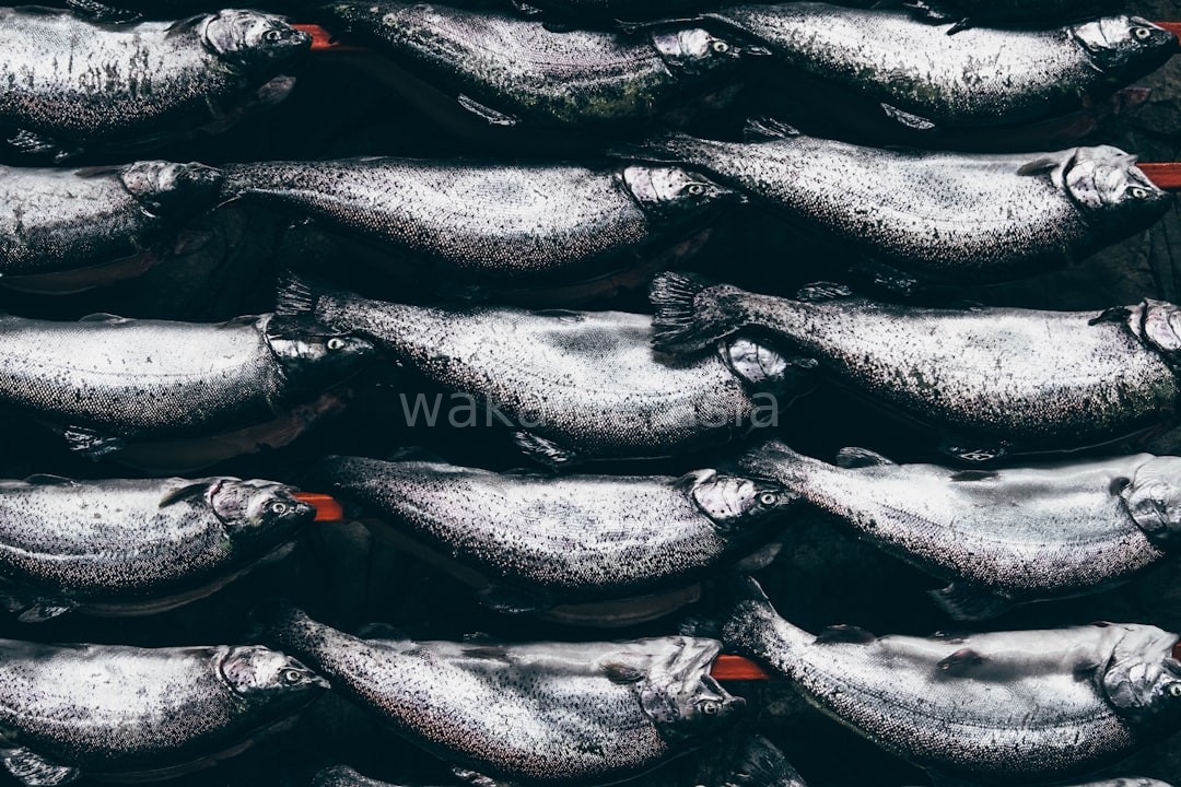 Ocean background